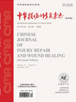 中华损伤与修复杂志（电子版）
