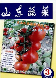 <b style='color:red'>山东</b>蔬菜