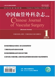 中国血管外科杂志（<b style='color:red'>电子</b>版）