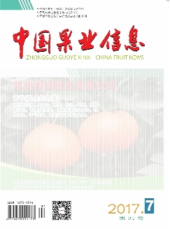 中国果业信息
