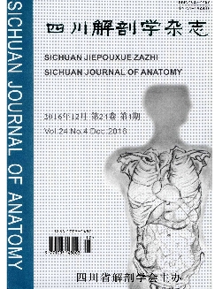 四川解剖学杂志