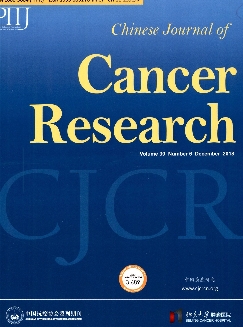 中国癌症研究：英文版