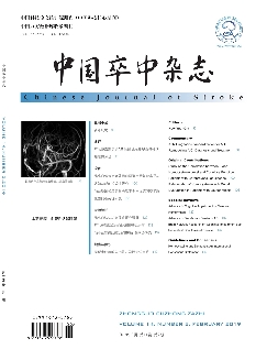 中国卒中杂志